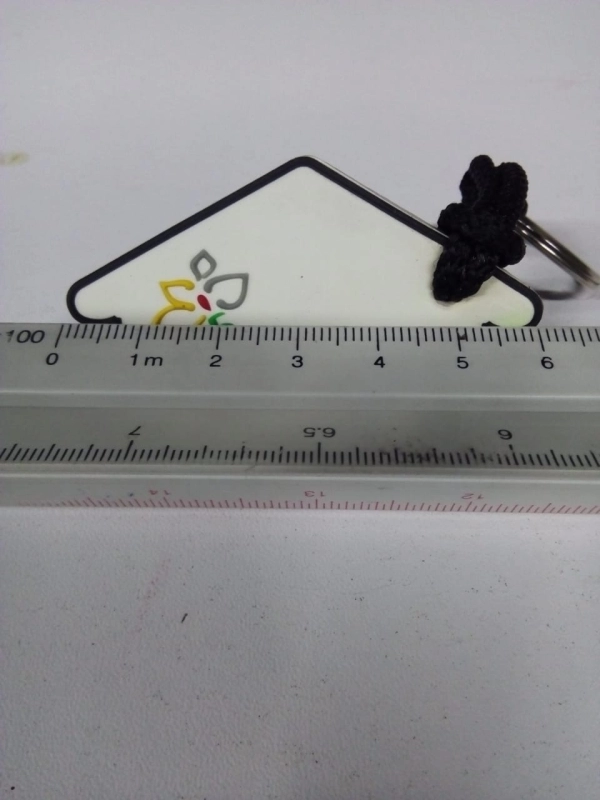 Llavero Microinyectado en forma de Casa, 6 x 4 cmts