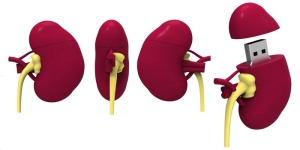 Memoria USB en PVC 3D diseño Higado