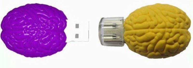 Memoria USB en PVC 3D diseño Cerebro
