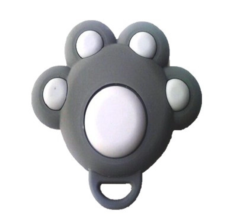 Memoria USB en PVC 2D diseño Pata de Animal