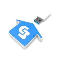 Memoria USB en PVC 2D diseño Casa