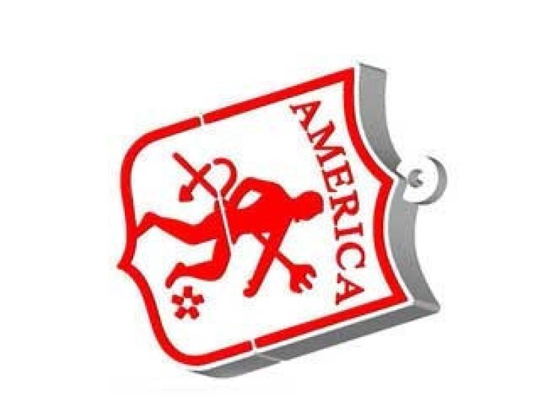 Memoria USB en PVC 2D diseño Escudo America