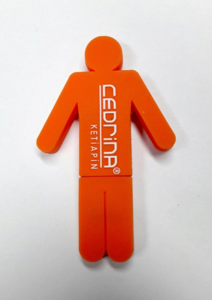 Memoria USB en PVC 2D diseño logo Cedrina