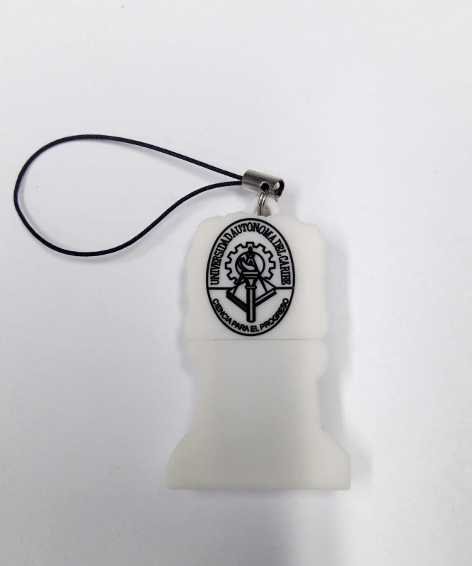 Memoria USB en PVC 2D diseño Congo de Carnaval