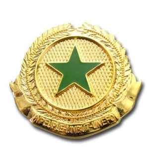 Pin Metalico en Alto Relieve