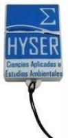 Memoria USB en PVC 2D diseño Logo Hyser