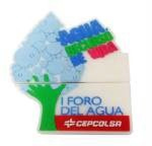 Memoria USB en PVC 2D diseño Logo AAA